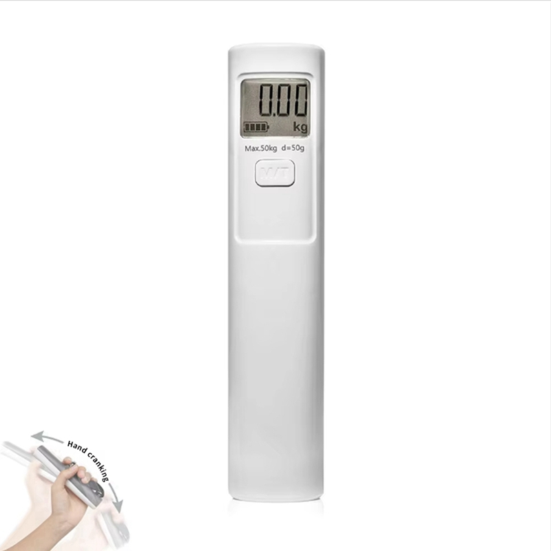 ABSS Handgepäckwaage, Stromerz – Luggage Scale Hanging Bewertung und Preis