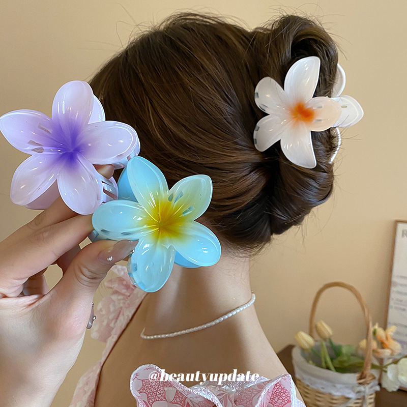 Kristall Blume Acryl Haar Klau – Travel Accessories Hong Kong Bewertung und Preis