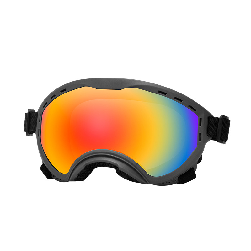Haustier-Schutzbrille, Wind-,  – Travel Accessories Gift Ideas Bewertung und Preis